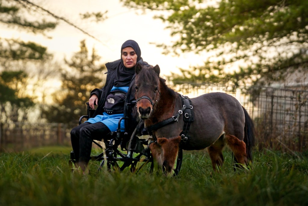 Mona, a woman in a wheelchair sits in a green field with Cali, a bay miniature horse, beside her. The sunlight streams through the trees in the background, a beautiful golden color.