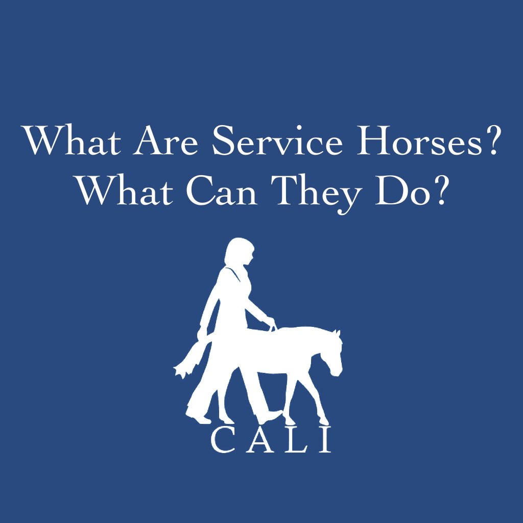 Light blue text on a dark blue background says “What are service horses? What can they do?” Above the CALI Corp logo, which is a miniature horse guiding a blind handler.