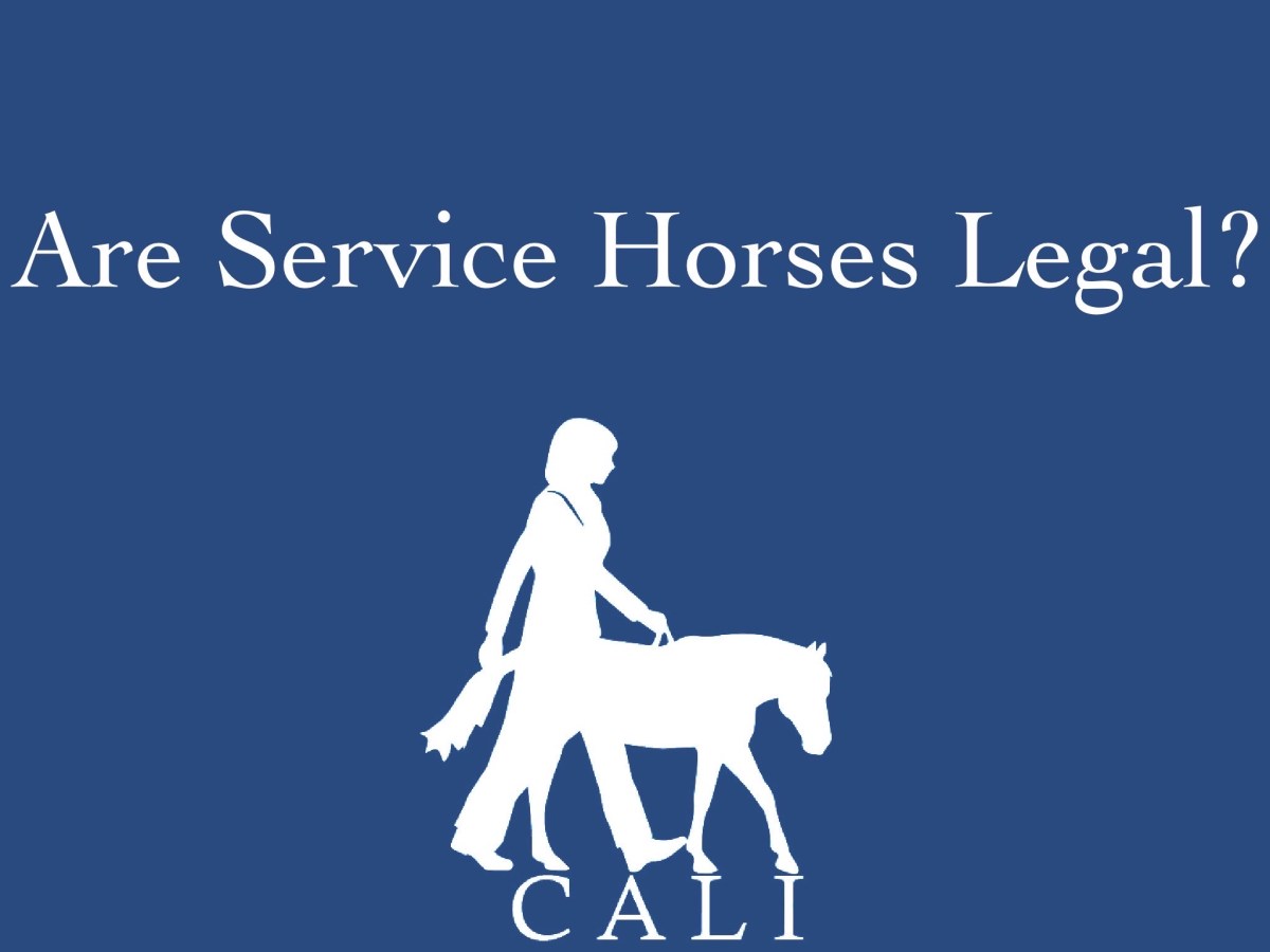 Are Service Horses&nbsp;Legal?