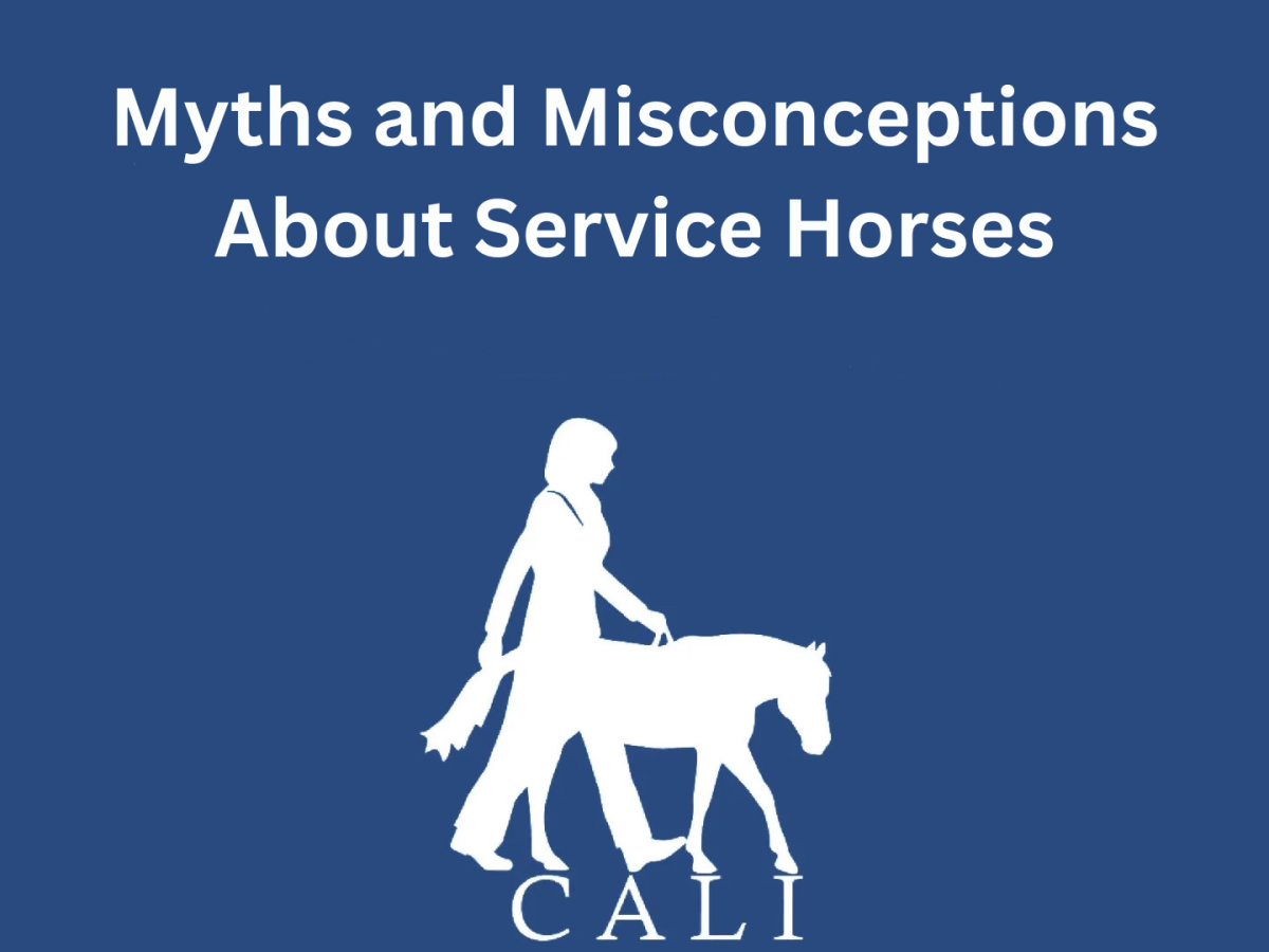 Myths and Misconceptions About Service Horses 