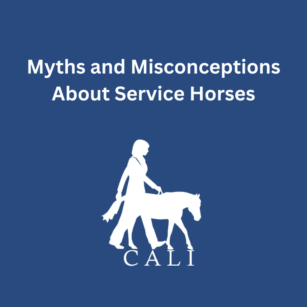 A blue graphic with the text "Myths and Misconceptions About Service Horses", followed by the CALI Corp logo. The logo is a white silhouette of a woman being lead by a guide mini horse. Beneath their feet is the text "CALI".