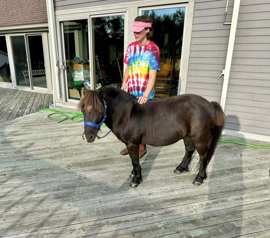 Teagan, a tall woman wearing a colorful tie-dye T-shirt, stands next to Spencer, a stoutly built miniature horse, with her hand resting on his withers. The two of them are on a wooden deck in front of a sliding glass door. Spencer‘s glossy coat looks chocolate brown on his body, but looks much more black on areas like his flank and legs. 