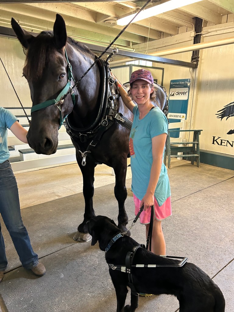 Teagan, a tall woman wearing an aqua shirt and pink shorts, stands beside a tall black draft horse wearing it's harness. Teagan's black lab guide dog stands beside her and Teagan is holding the guide handle.